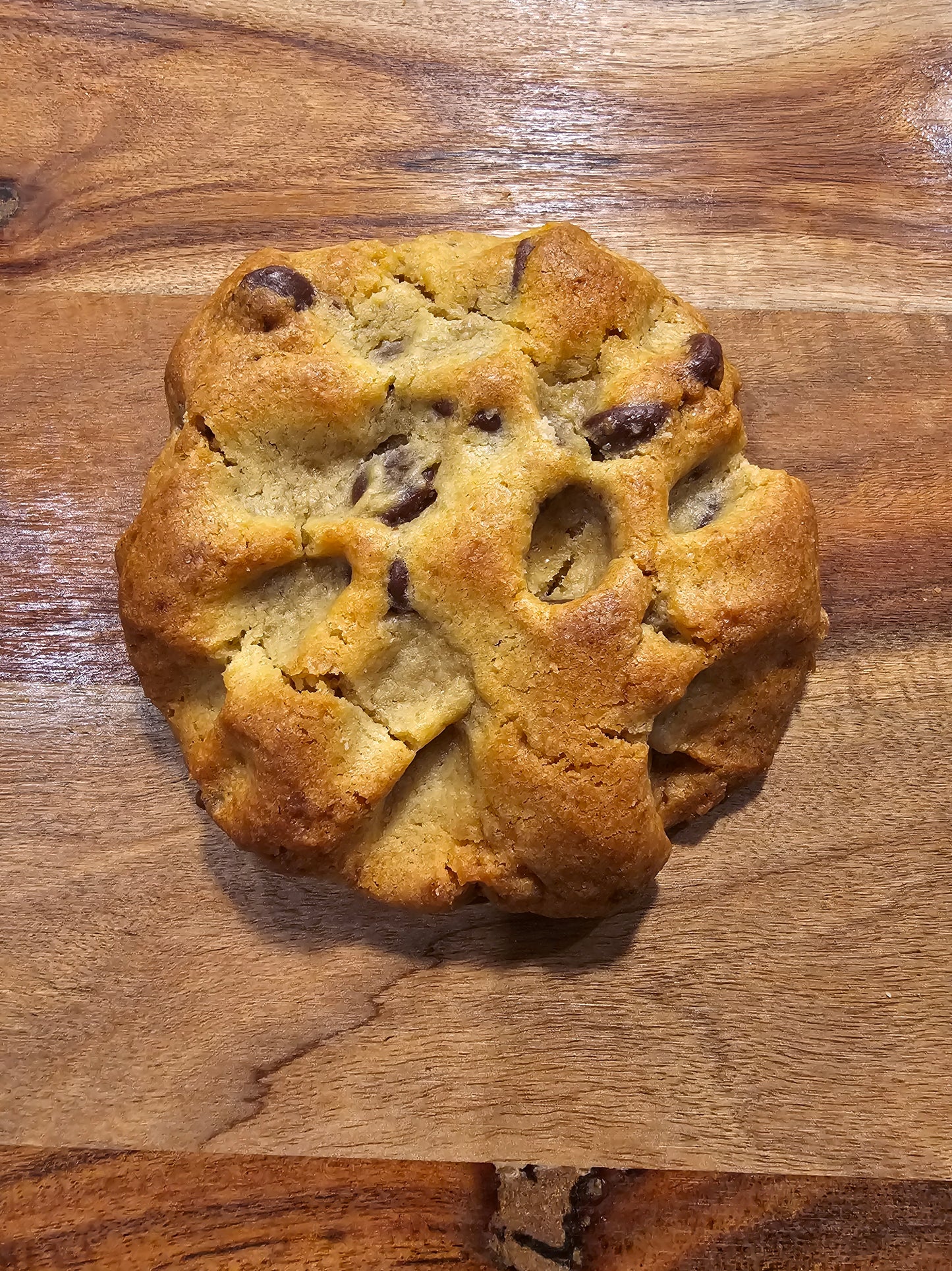 Chocolate Chip Cookie